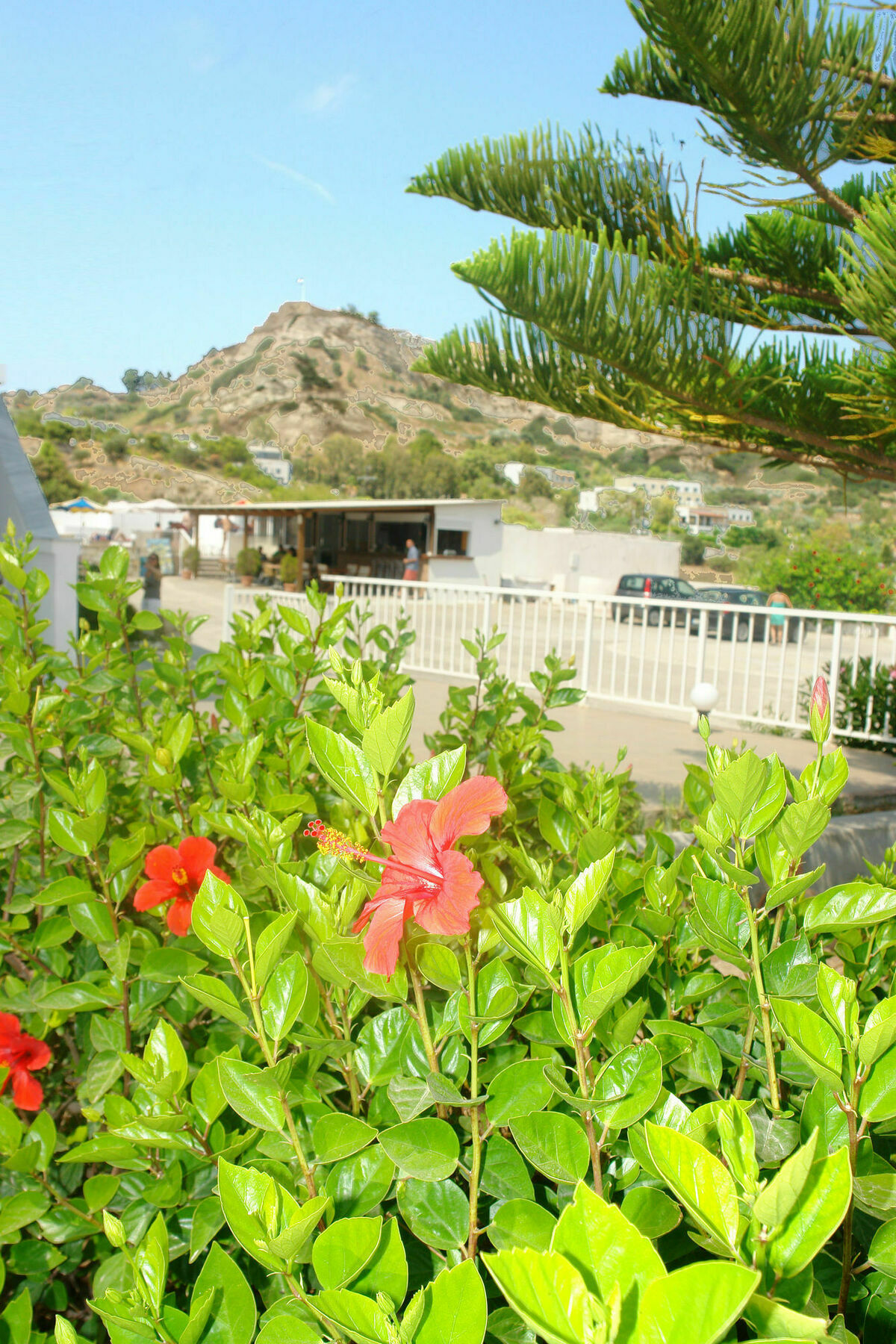 Archodia Studios Kéfalos Extérieur photo
